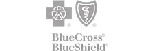 blue cross blue shield logo