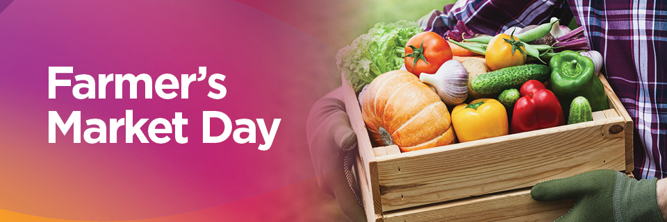 Basket Full of Produce